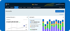 Screenshot of a cash management dashboard with charts