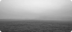 Fog obscuring the horizon over open water